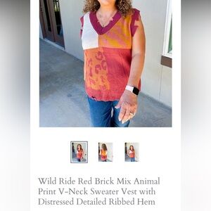 Umgee Rust, Mustard & Cream V-Neck Knit Vest